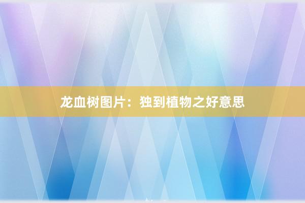 龙血树图片：独到植物之好意思