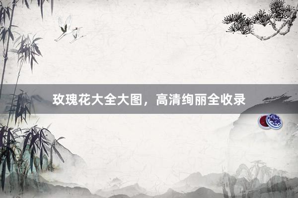 玫瑰花大全大图，高清绚丽全收录