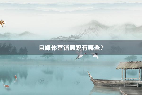 自媒体营销面貌有哪些？